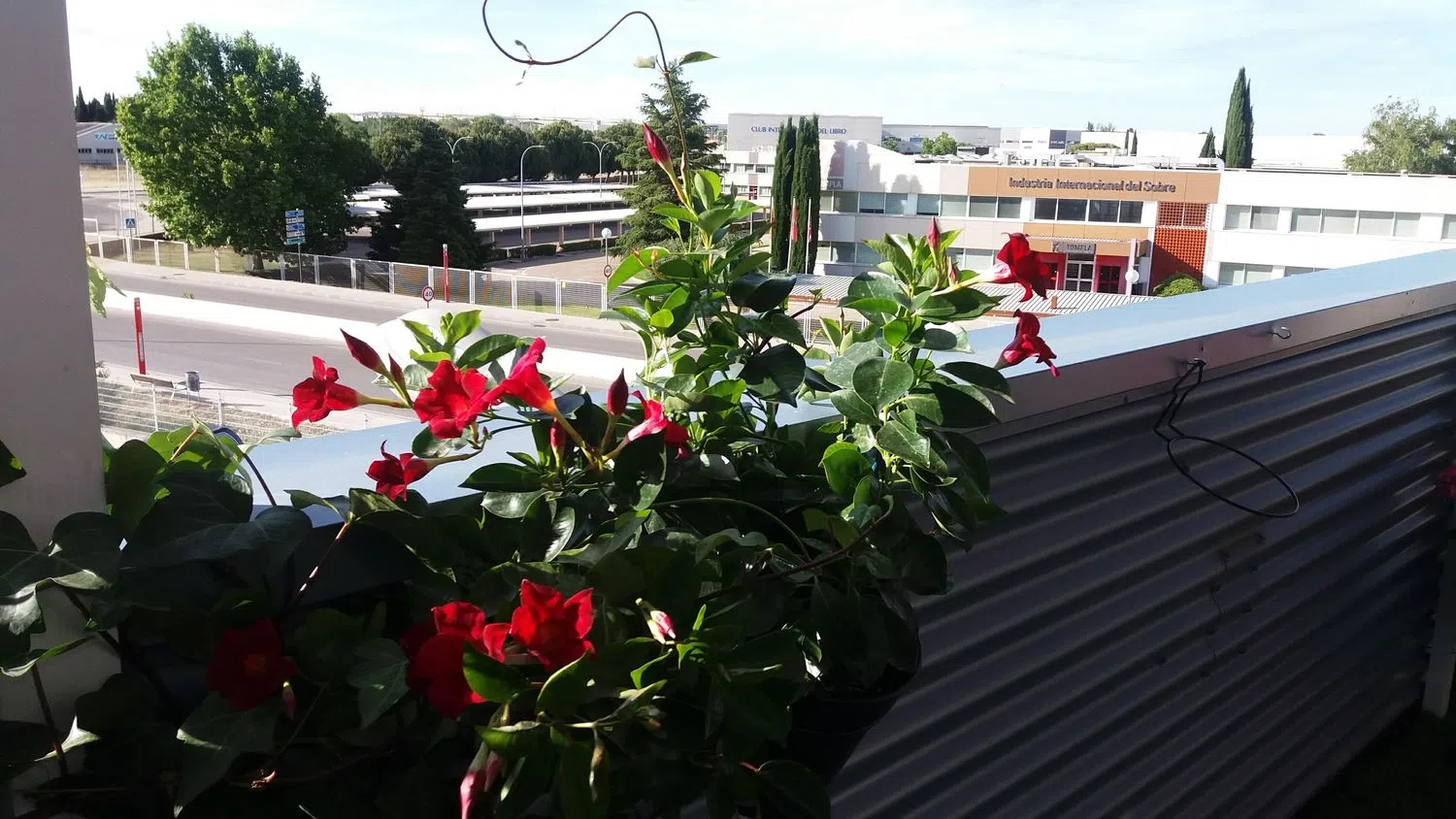 Ático en calle Argentina, 19 - Foto 23