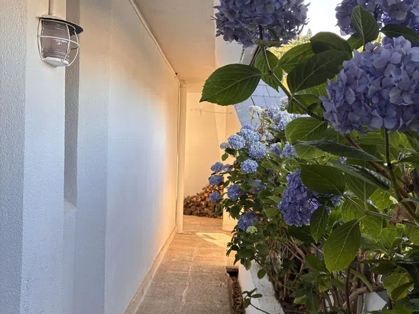 Ático en Calle Timoteo Padrós, 29, Abantos - Carmelitas, Abantos - Carmelitas - Foto 38