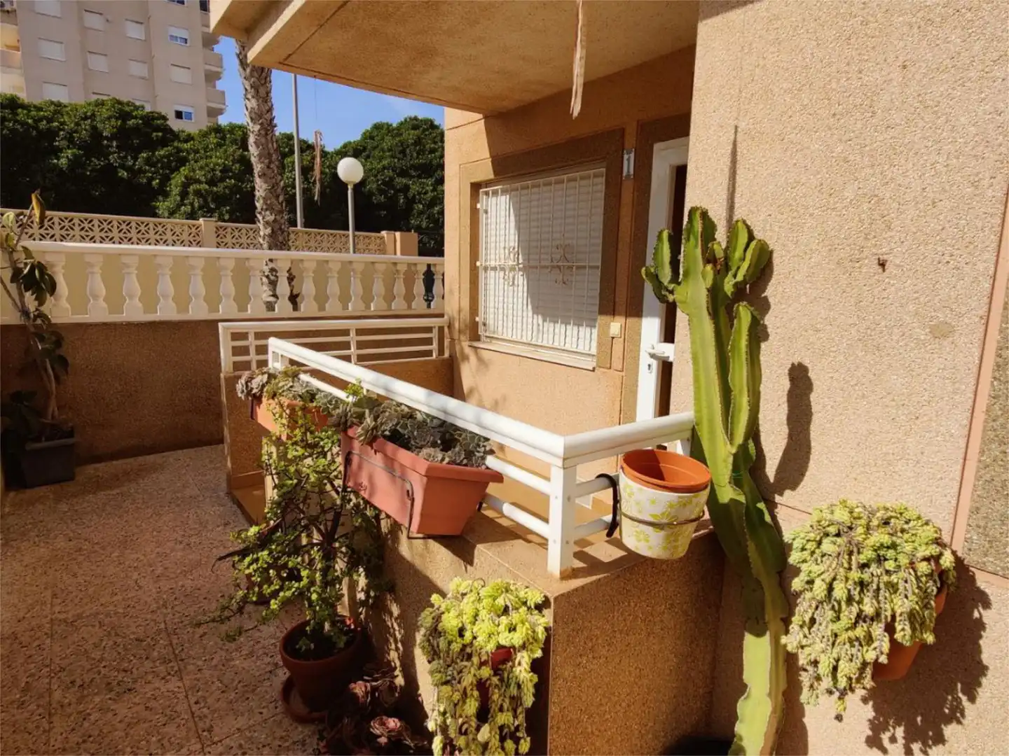 Piso en  Calle Joven Pura 71 - Foto 6