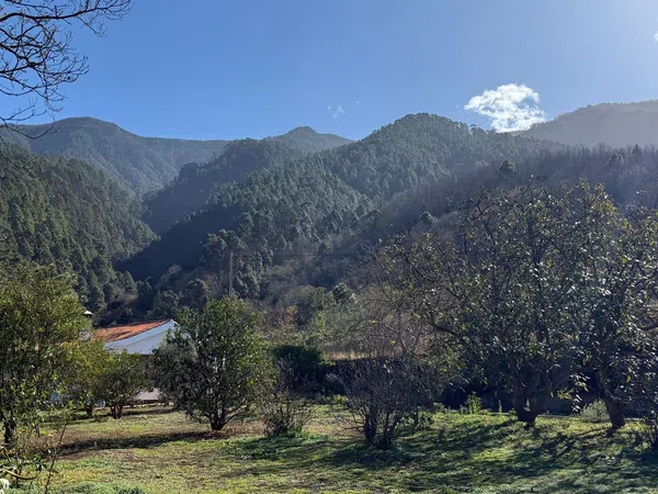Casa o chalet independiente en Calle de Los Cominos, 63, El Bebedero - Pinolere - Aguamansa, El Bebedero - Pinolere - Aguamansa - Foto 14