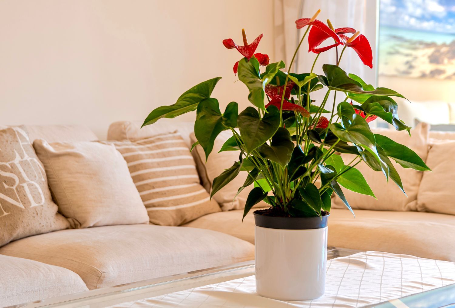 Piso en calle Pico Alcazaba, 15 - Foto 17