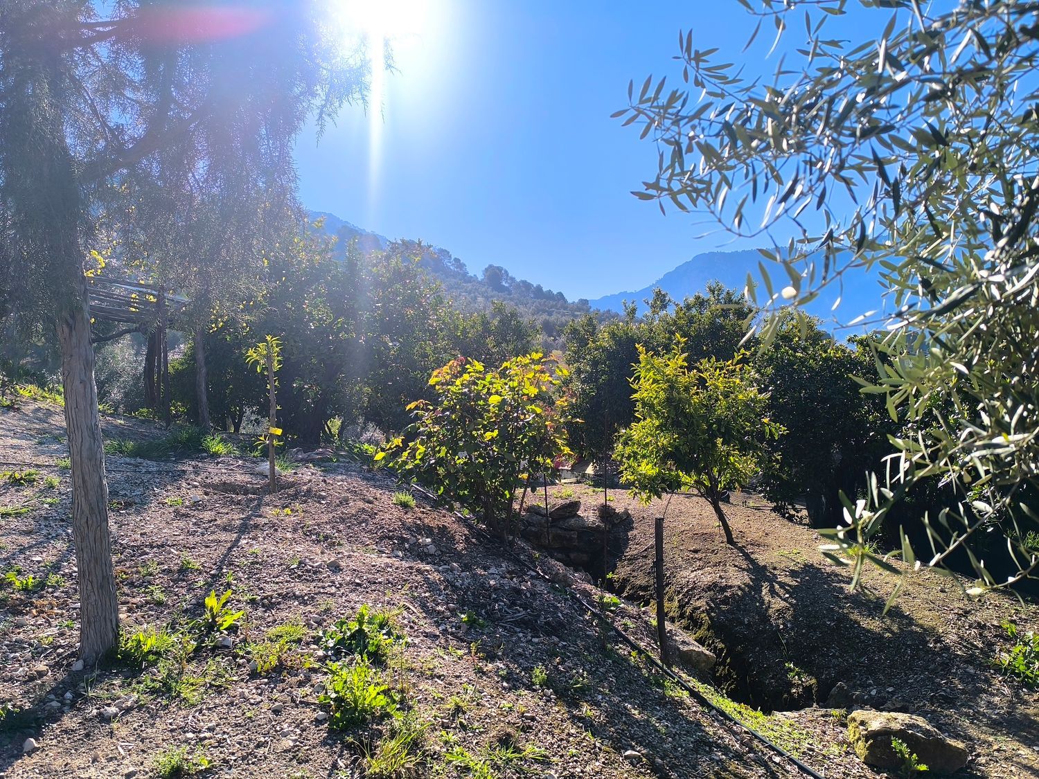 Cortijo en Via Sin Nombre s/n - Foto 2