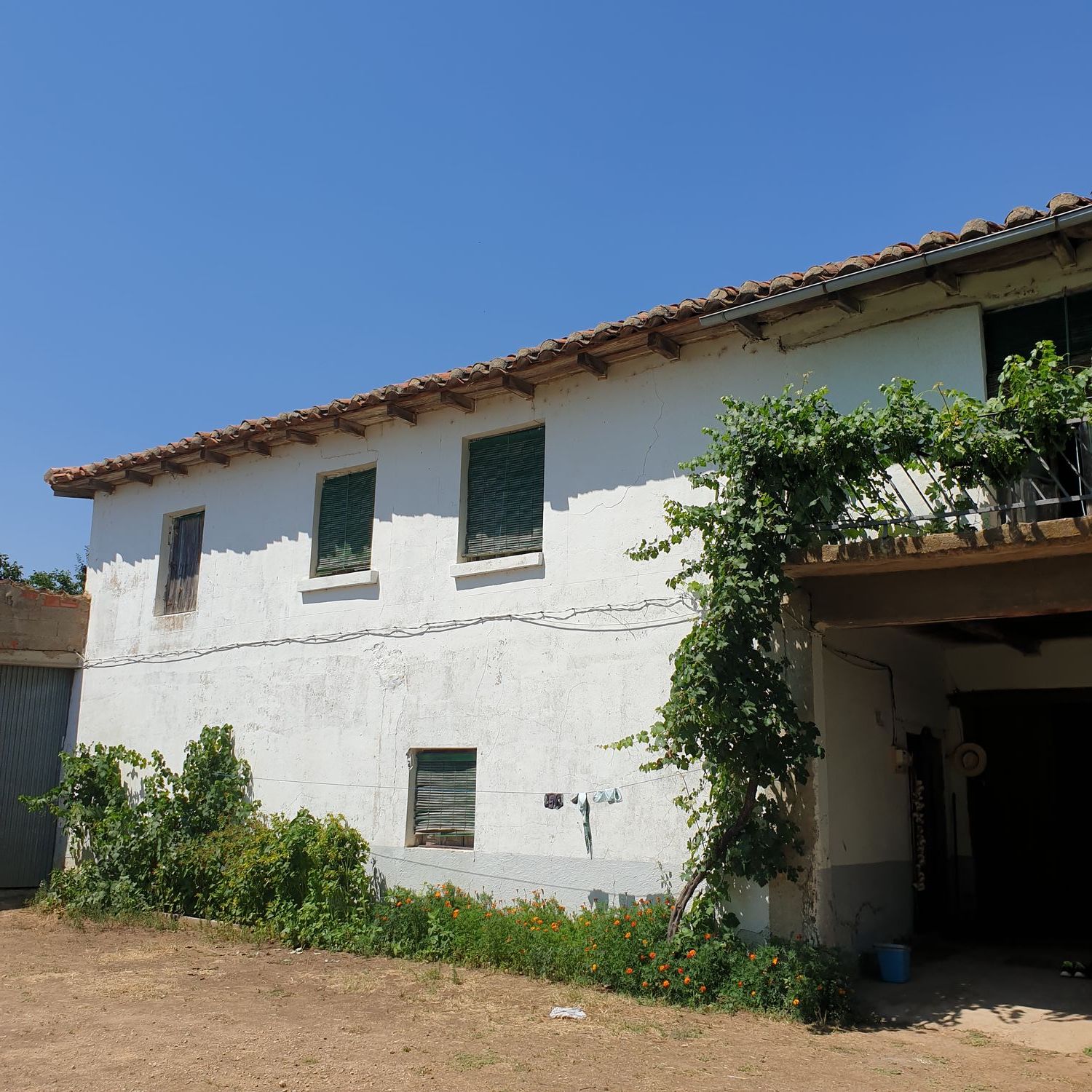 Finca rústica en Calle El Molino, 1 - Foto 2