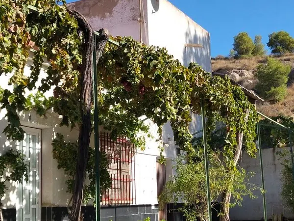 Casa rural en Canada de Marines s/n, San Diego-Los Ángeles-San Cristóbal, San Diego-Los Ángeles-San Cristóbal - Foto 22