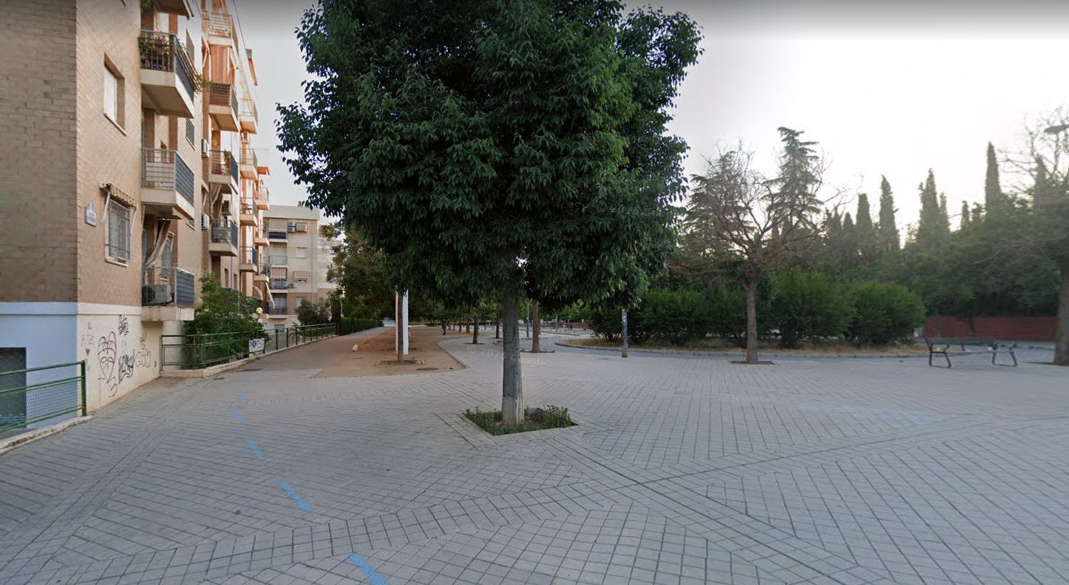 Local en Calle San Fernando, 53, San Francisco Javier, San Francisco Javier - Foto 11
