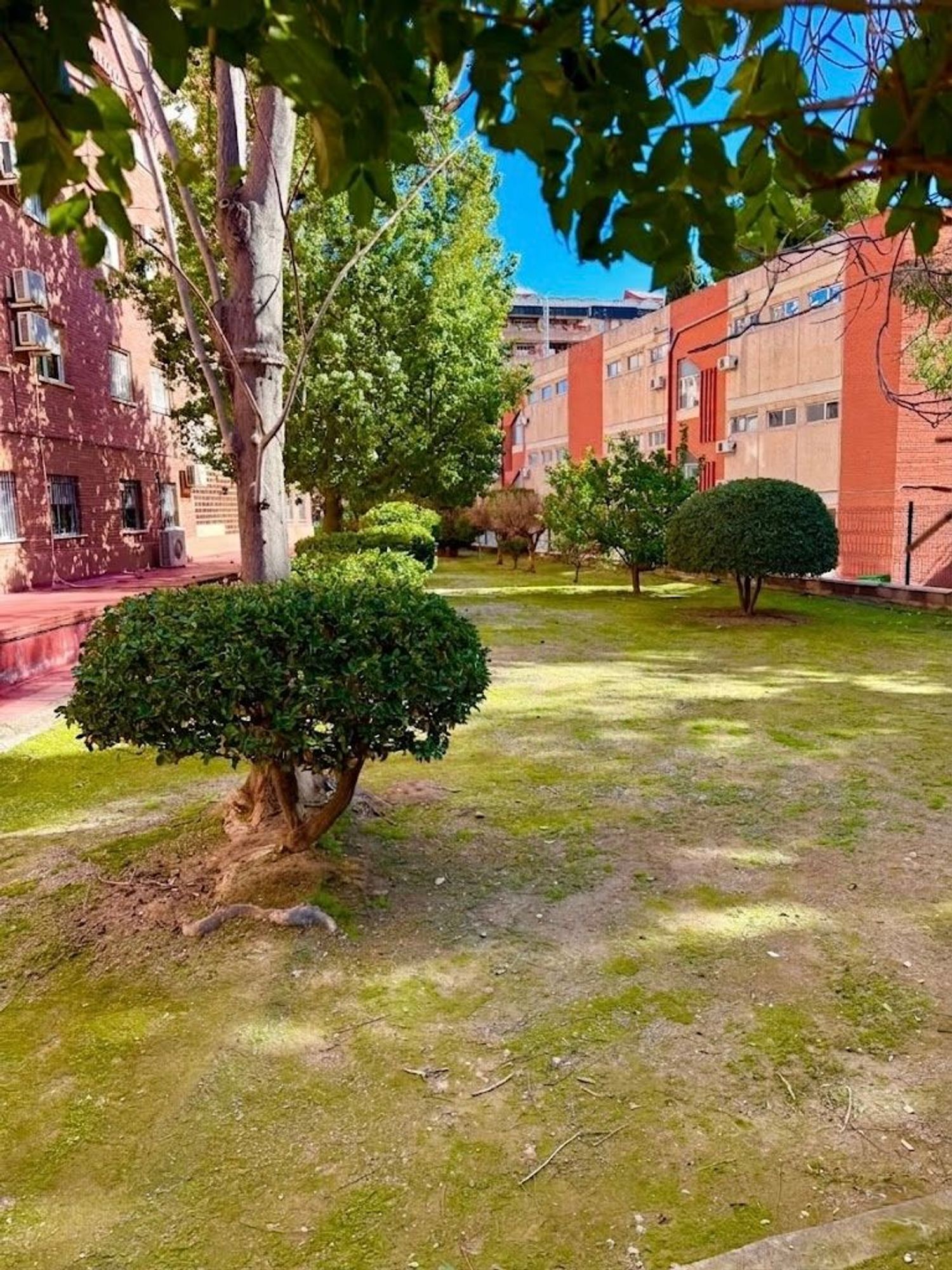 Piso en Barrio Infante Juan Manuel - Foto 21