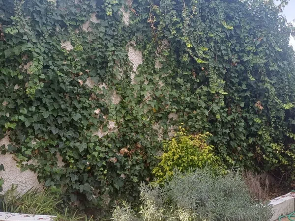 Casa independiente en Av vereda Real, 15 - Foto 23