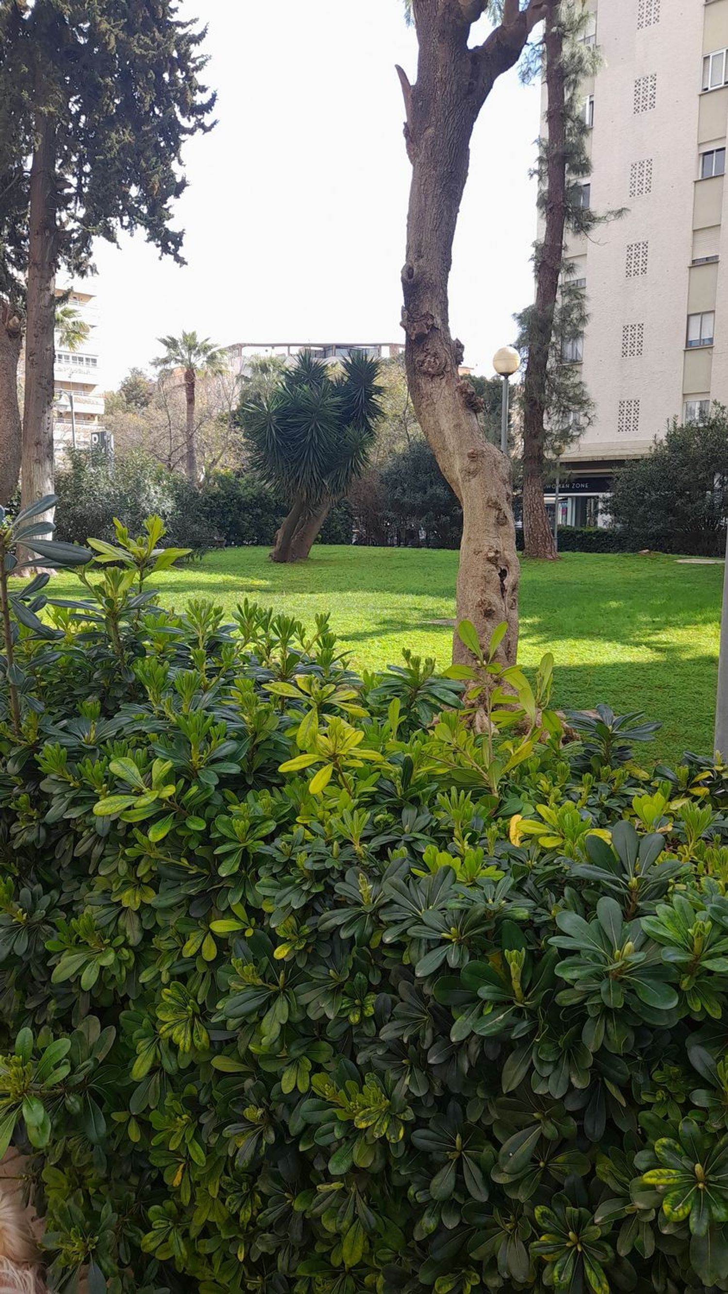 Piso en plaza del Caballo, 1 - Foto 25