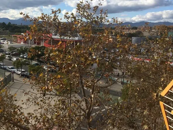 Piso en Avenida dels Països Catalans, 224, Ponent, Ponent - Foto 2