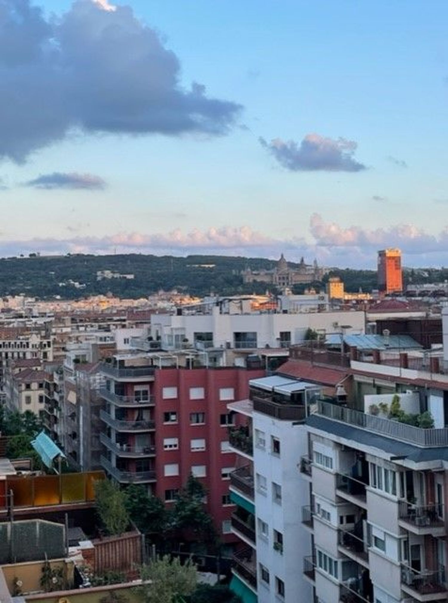 Ático en Avenida de Josep Tarradellas, 64, La Nova Esquerra de l'Eixample - Foto 12
