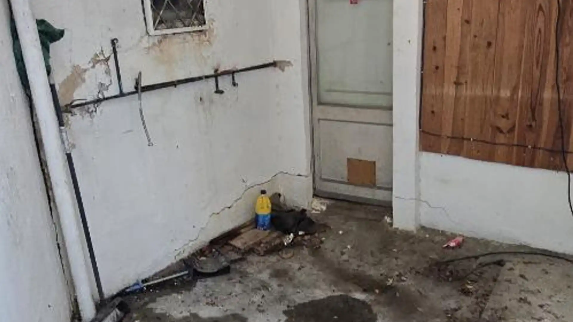 Planta baja en  Passatge dels Garrofers 6 - Foto 9