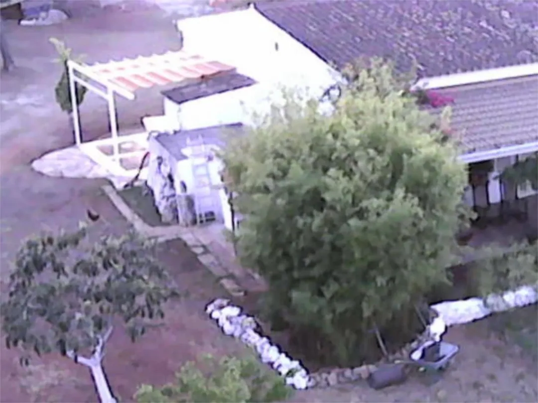 Finca rústica en  Diseminado 8746- Sa Casa Blanca 1 - Foto 2