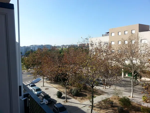 Piso en Calle Clarinete, 6, El Juncal - Vallealto - Foto 12