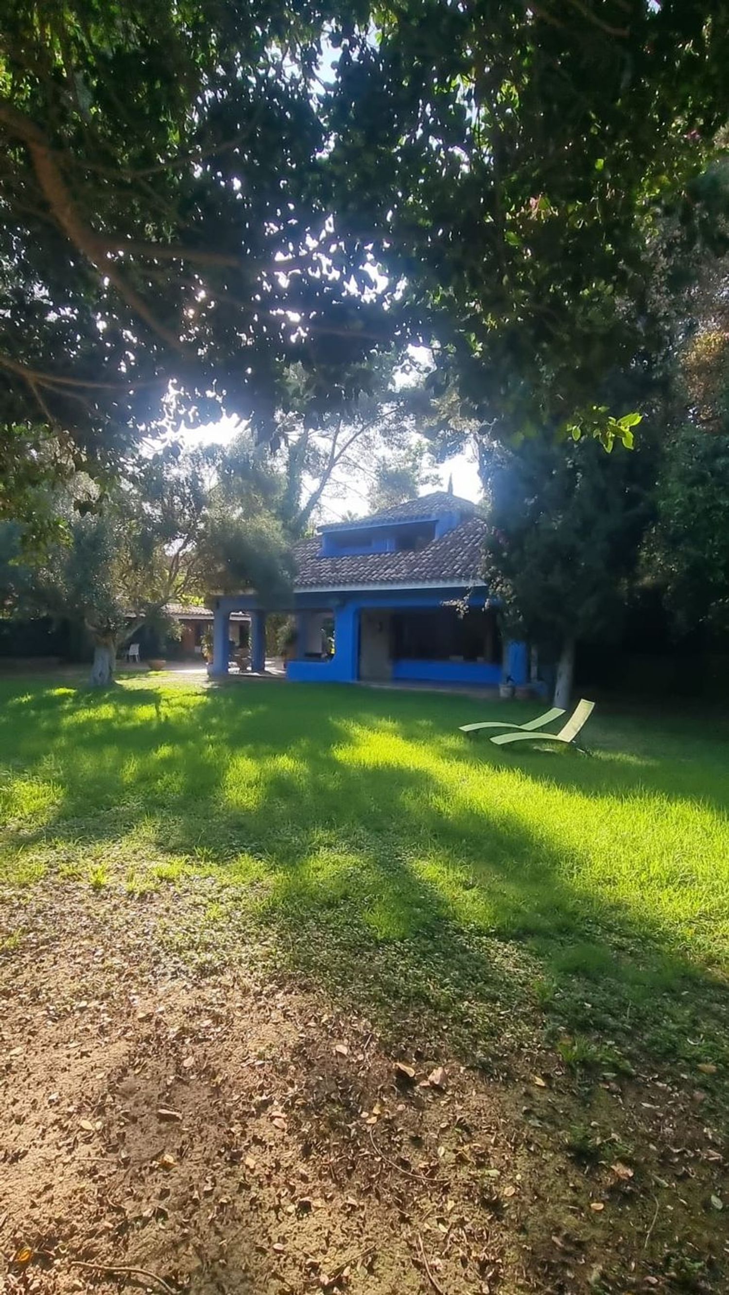 Casa o chalet independiente en Avenida Ametllers, 20, Campolivar, Campolivar - Foto 14