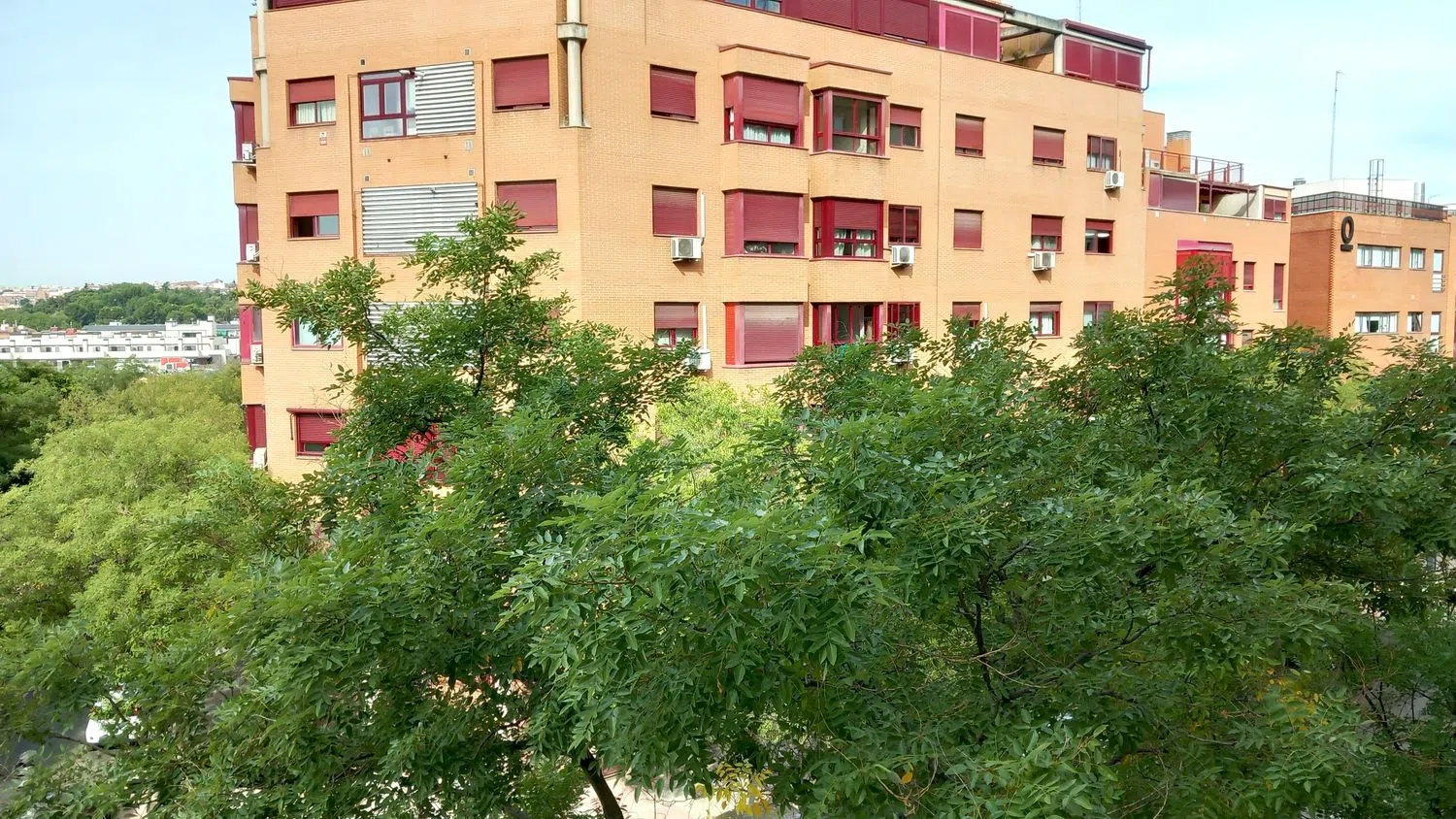 Piso en Barrio Imperial - Foto 29