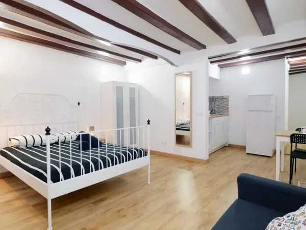 Estudio en Calle de Torres i Amat, El Raval - Foto 2