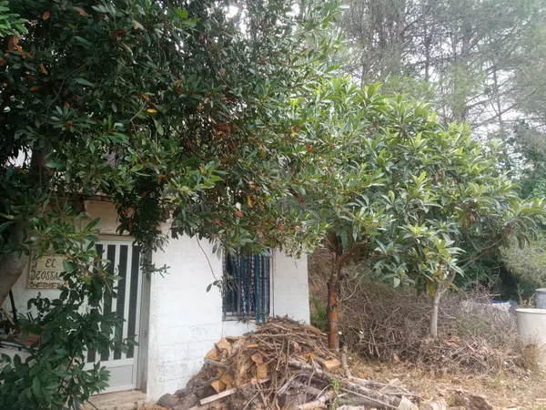 Finca rústica en Bancal domenec s/n - Foto 15