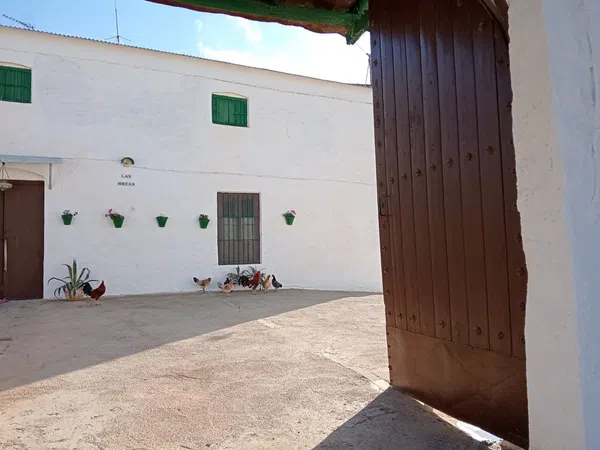 Cortijo en Cortijo en Paraje Santa Cruz, 98 - Foto 5