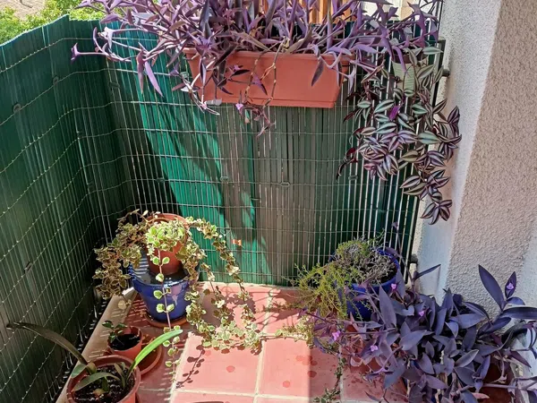 Piso en calle de la Reina Maria Cristina, 52 - Foto 22