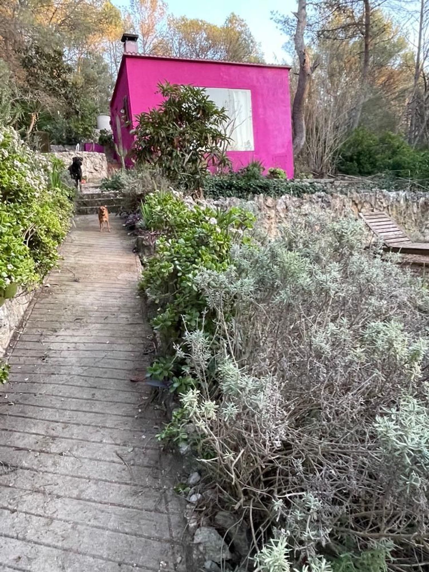 Casa terrera en calle roca s/n Sn - Foto 15