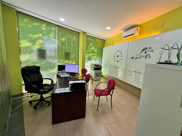 Local en Avenida Parsi, 30, Palmete-Padre Pío-Hacienda San Antonio - Foto 1