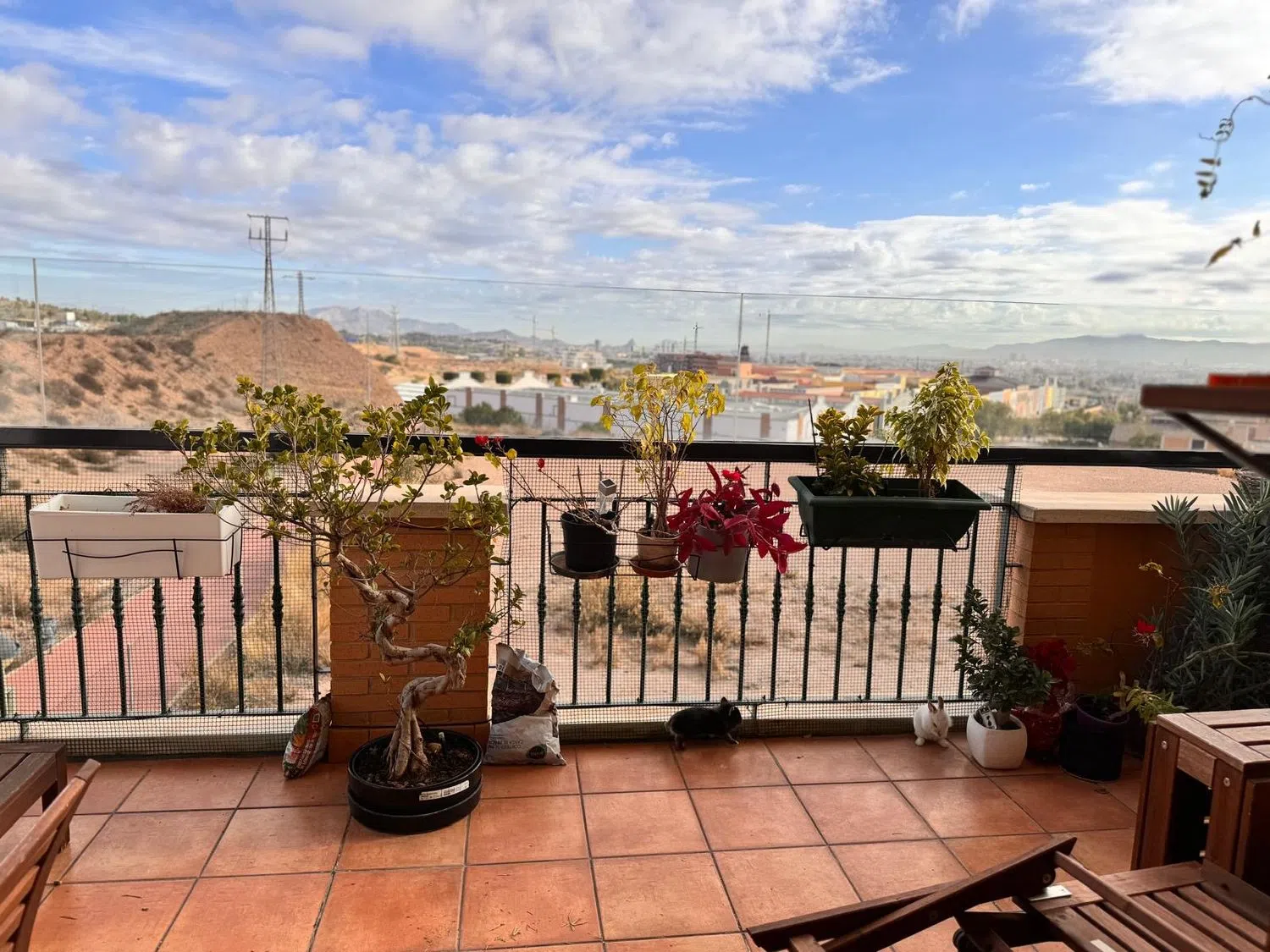 Ático en paseo del Portón, 10 - Foto 18