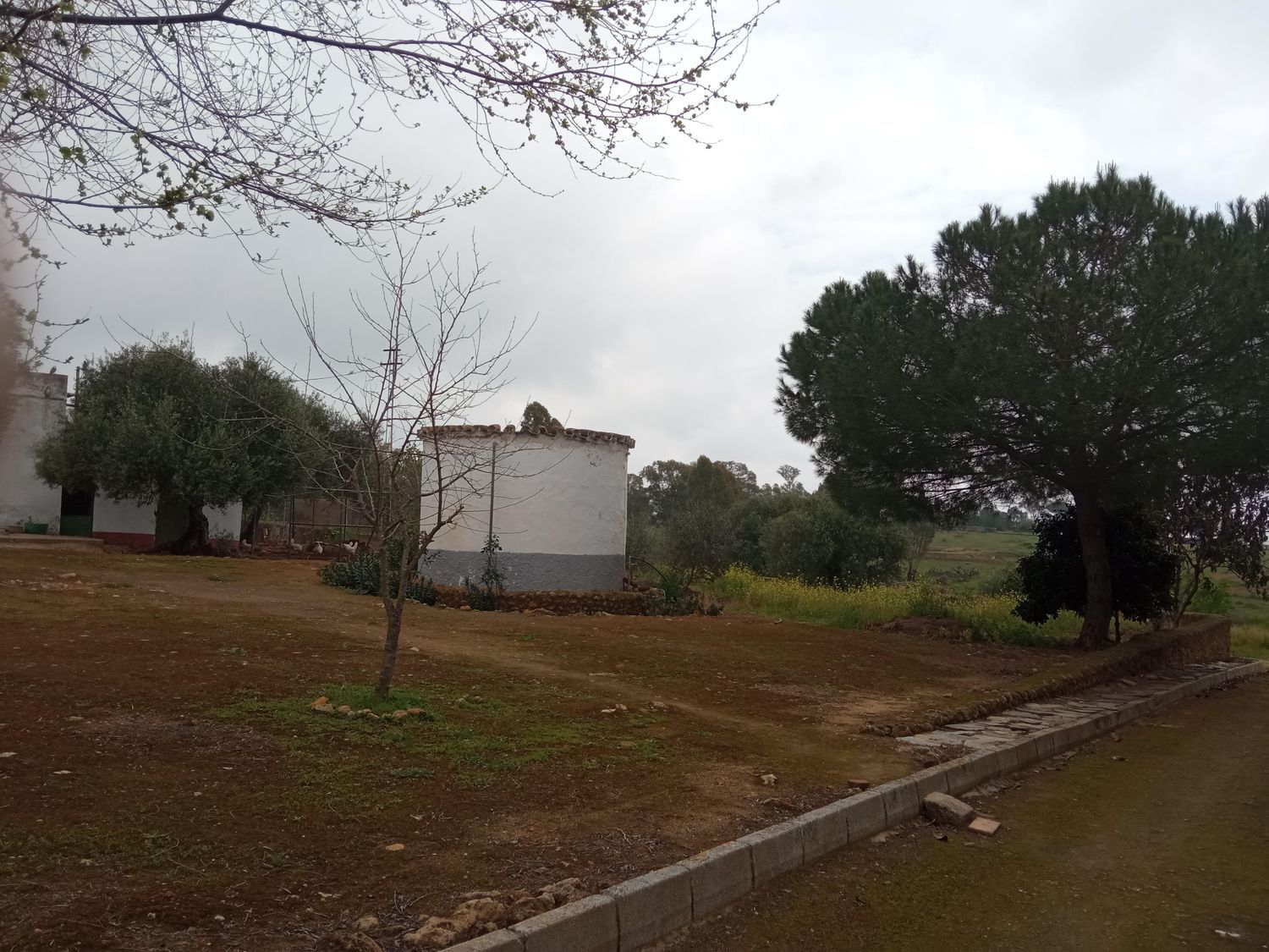 Finca rústica en Callejón del Antiguo Almacén (Prior), 1 - Foto 8