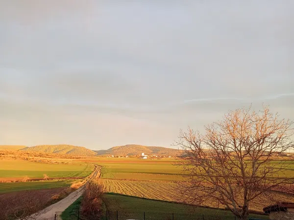 Casa independiente en calle Mendoza Entitatea, 39 - Foto 32