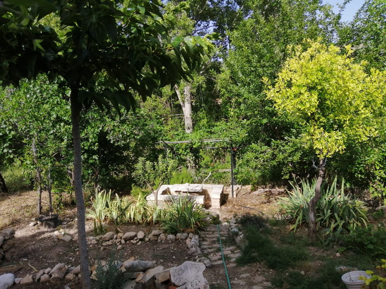Cortijo en Cortijo Los Hipólitos s/n - Foto 2