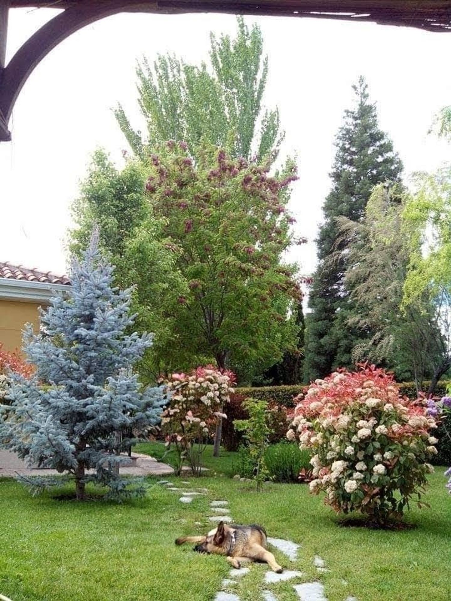 Casa independiente en Urb. campodón Barrio Campodón - Ventorro del Cano - Foto 1