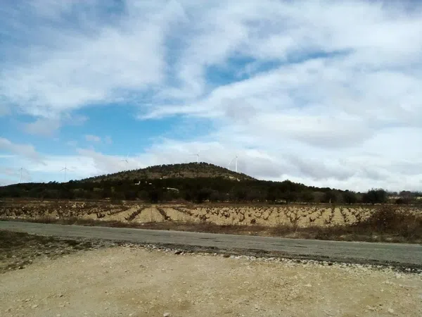 Finca rústica en Rm-a14 s/n - Foto 18