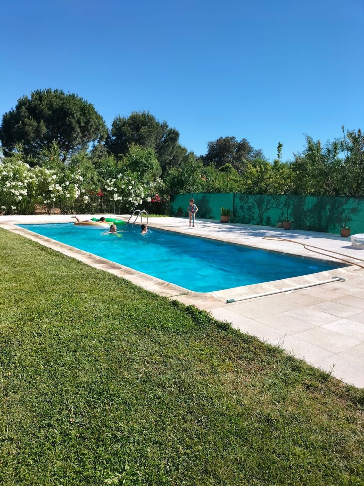 Casa o chalet independiente en Ronda de las Encinas, 115 - Foto 8