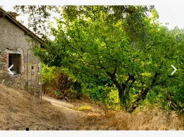 Finca rústica en  Calle Nueva 5 - Foto 4