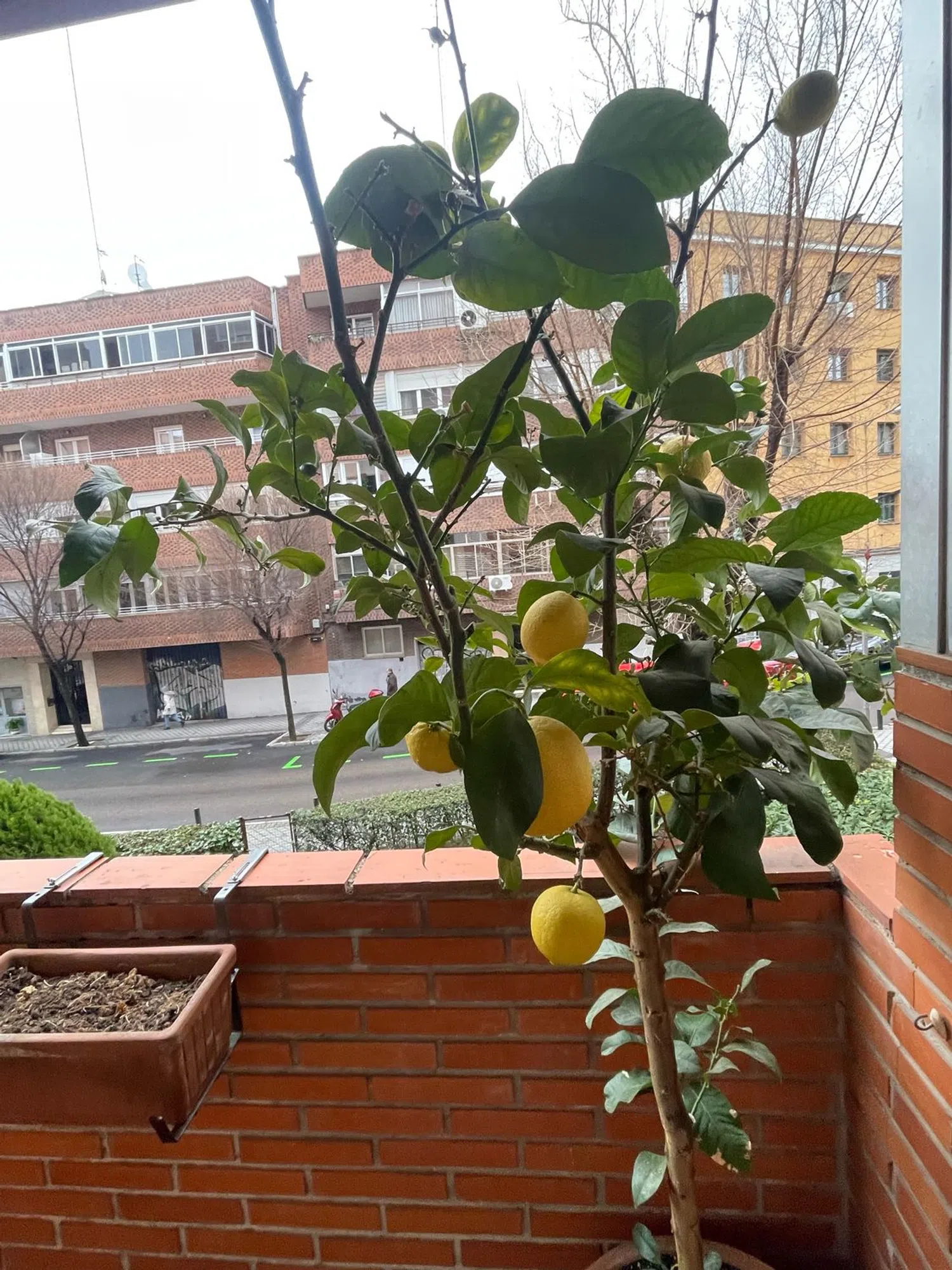 Piso en calle de Martínez Izquierdo, 45 - Foto 22