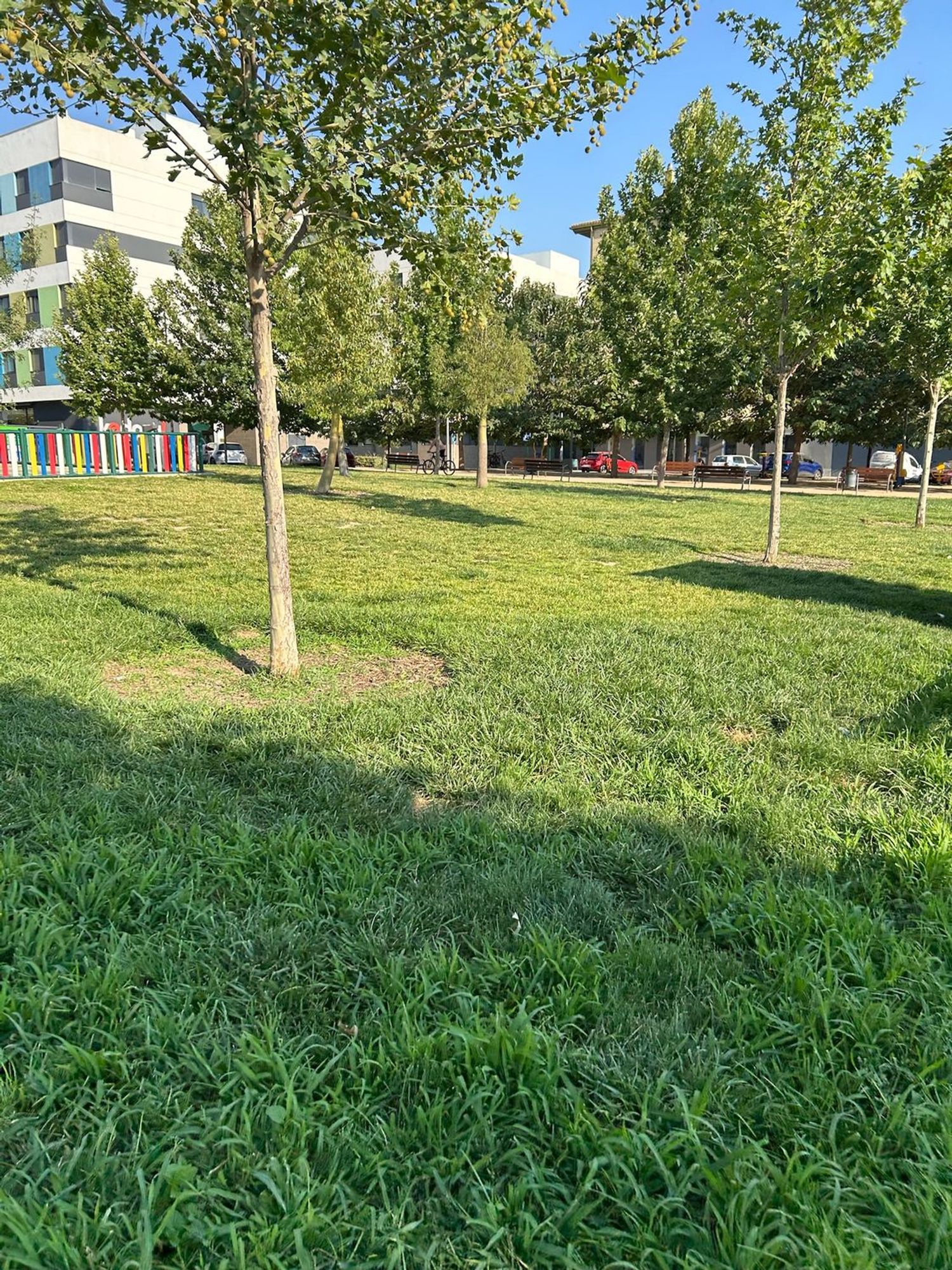 Piso en Circunvalación Encina, 20, La Chana, La Chana - Foto 26