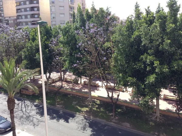 Piso en Barrio Pont Nou-Corazón de Jesús - Foto 21