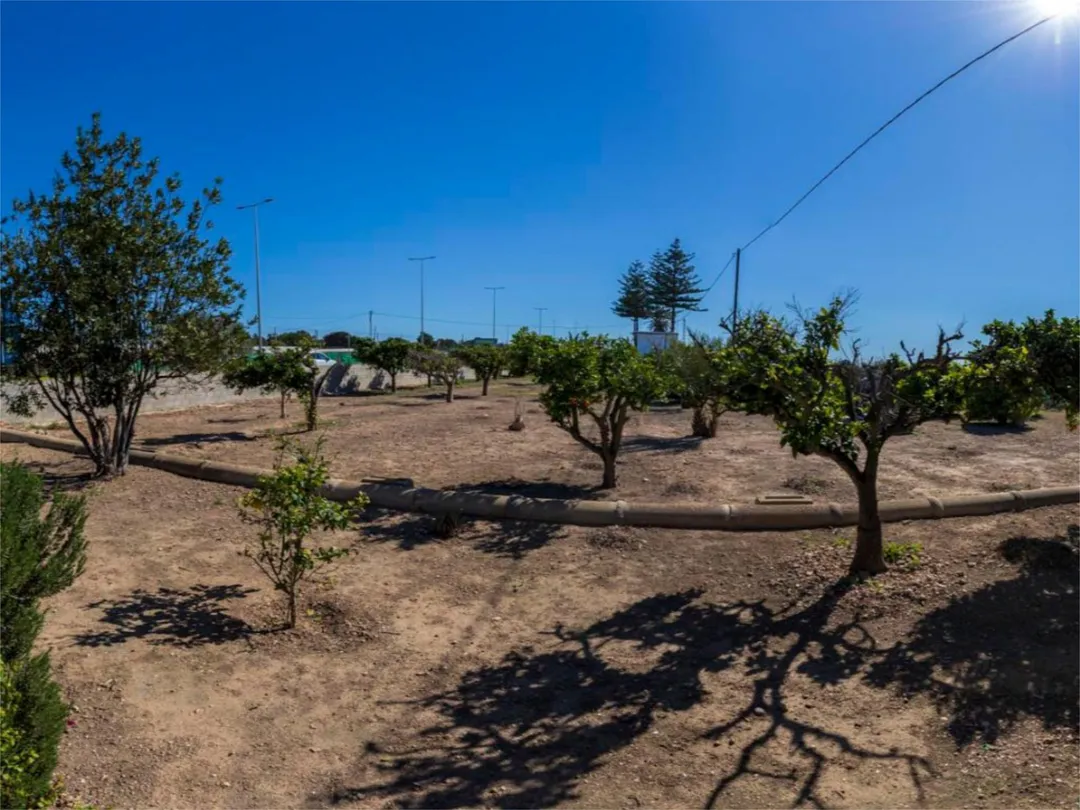 Finca rústica en  CV-865 45 - Foto 5