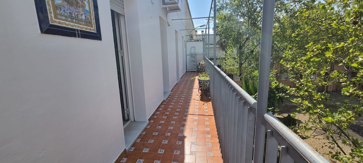 Piso en Calle Betis - Pagés del Corro - Foto 2