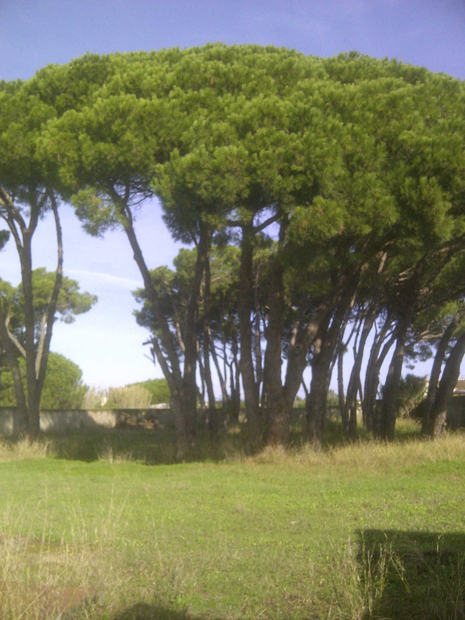 Casa independiente en calle Ceuta s/n - Foto 10