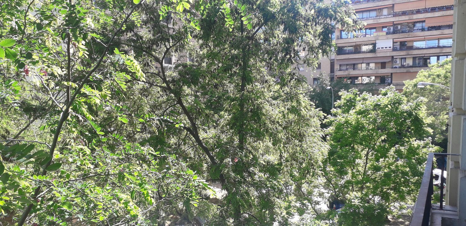 Piso en calle Infante Carlos de Borbón, 16 - Foto 29