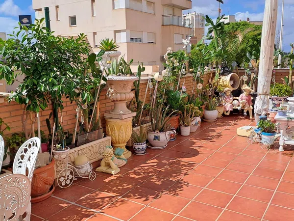 Piso en Calle Riu Segura, 18, Zona Pueblo, Zona Pueblo - Foto 16