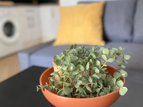 Estudio en calle Eduardo Carvajal, 4 - Foto 7