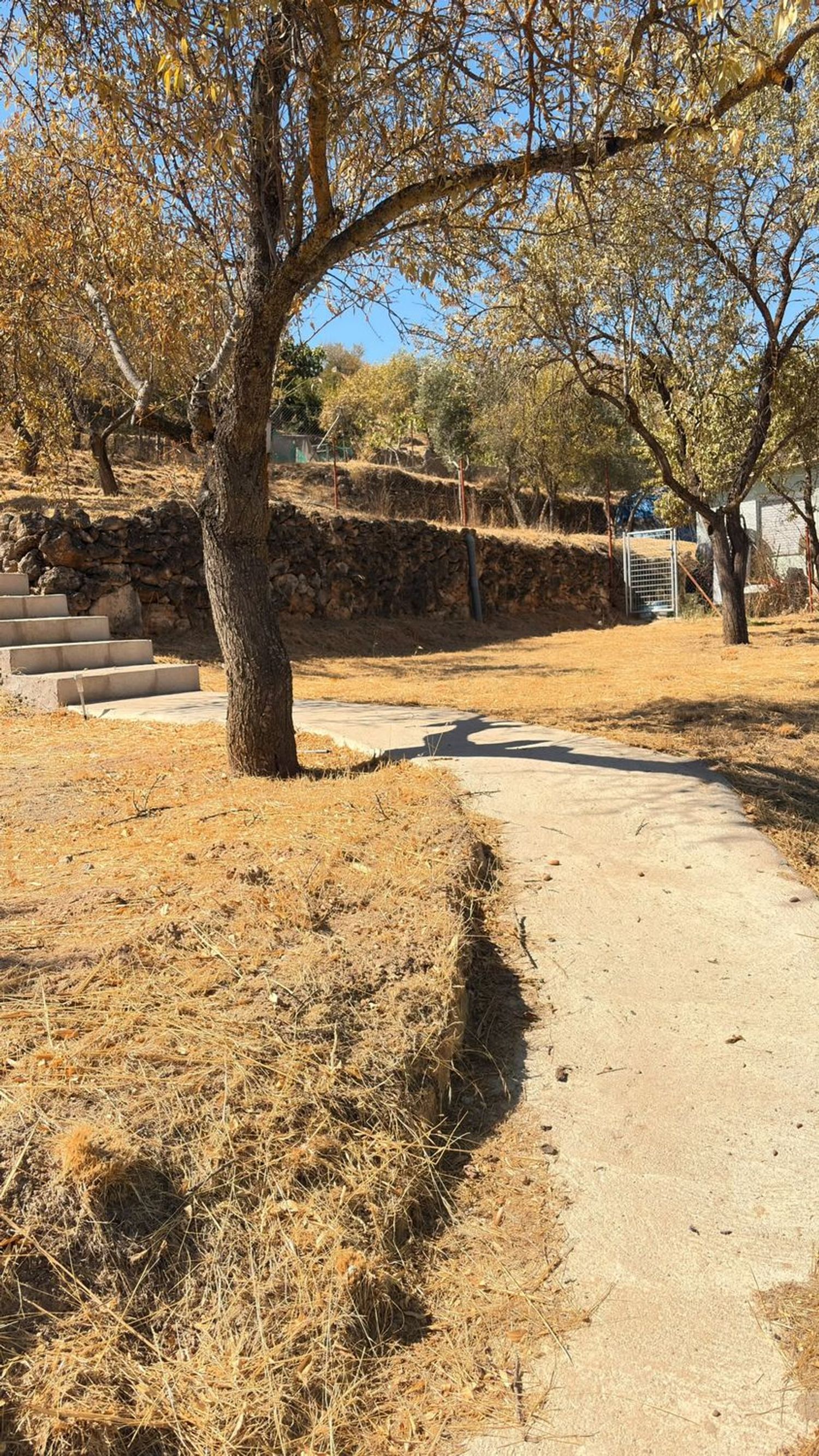 Casa de pueblo en Calle dos, 2, Perlita, Perlita - Foto 12