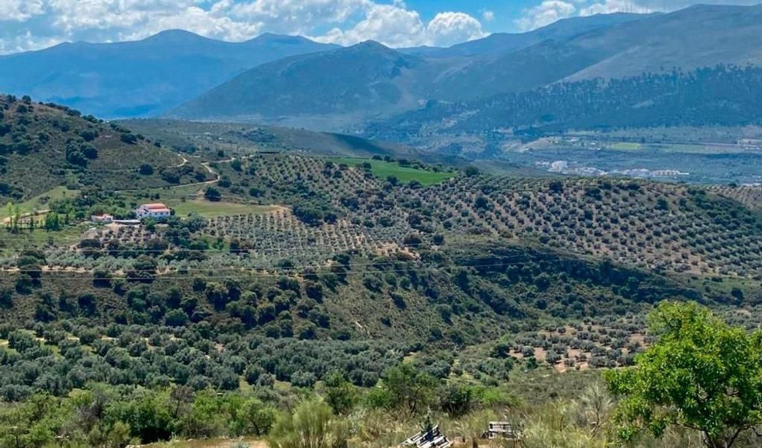 Casa rural en Cortijo Santa Teresa, 816 - Foto 18