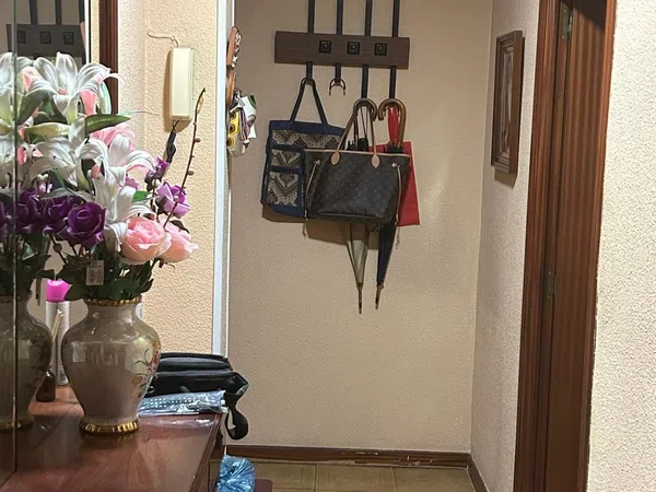 Piso en Calle de Villalobos, 107, Palomeras sureste - Foto 4