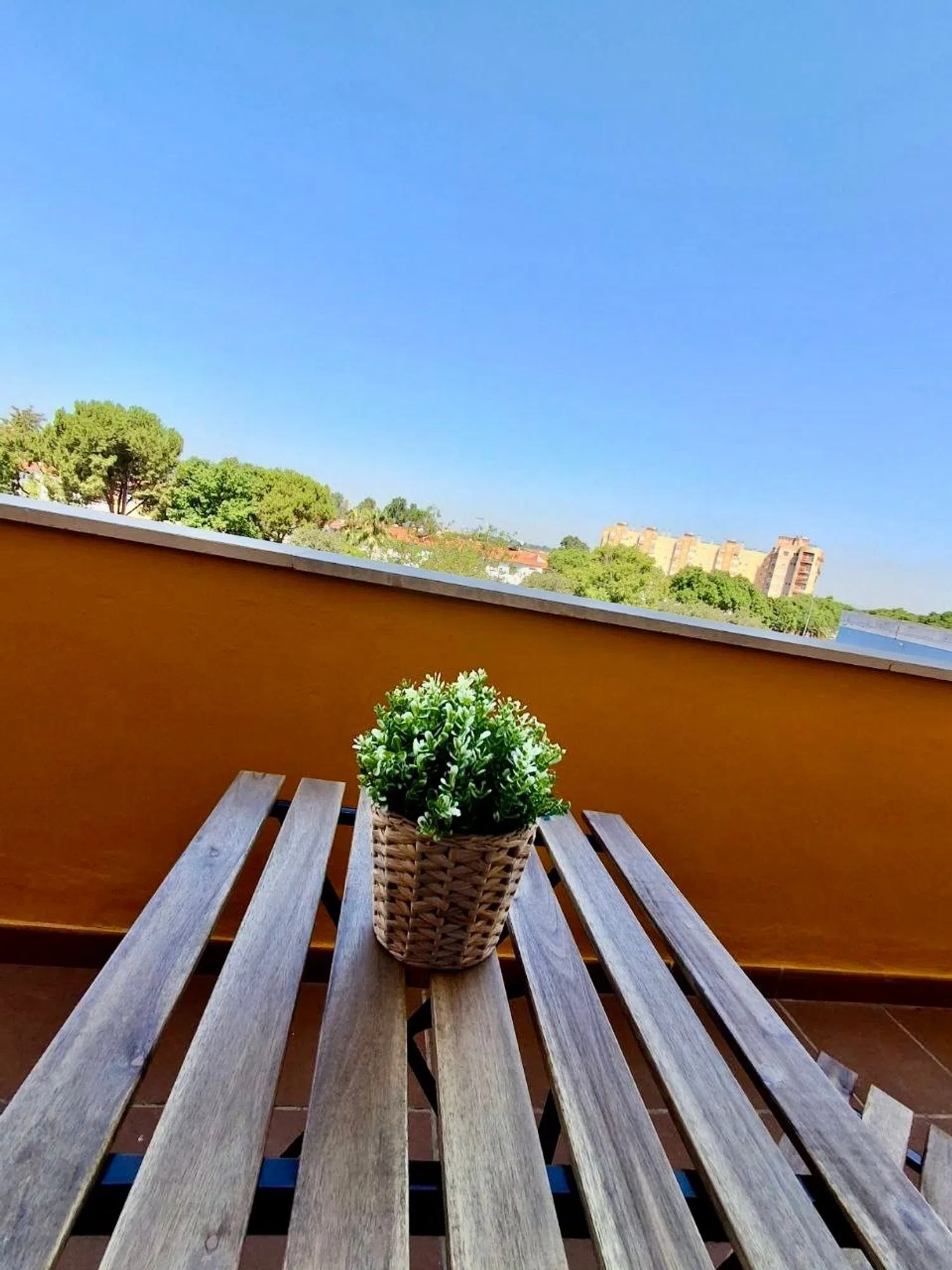Estudio en calle Casuarina, 1 - Foto 17