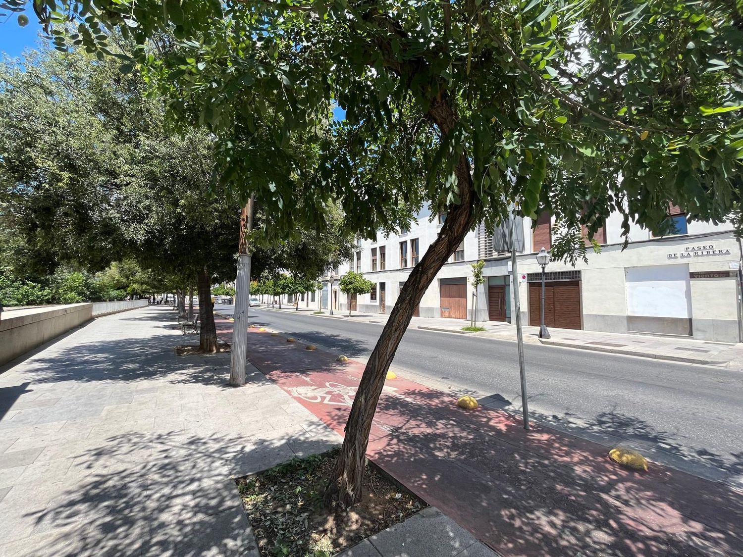 Dúplex en Paseo de la Ribera, 32, Casco Histórico - Corredera - Ribera - Foto 37