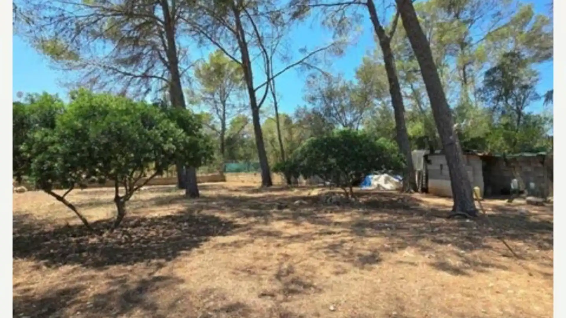 Finca rústica en  Diseminado 8746- Sa Casa Blanca 1 - Foto 31