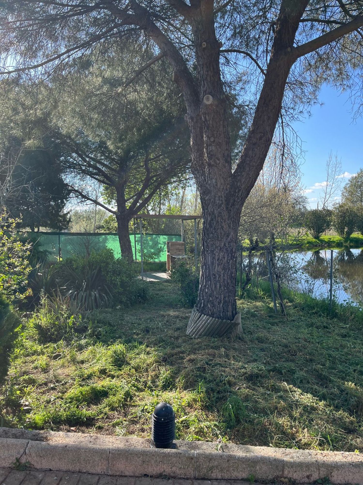 Finca rústica en N-521, 134 - Foto 5