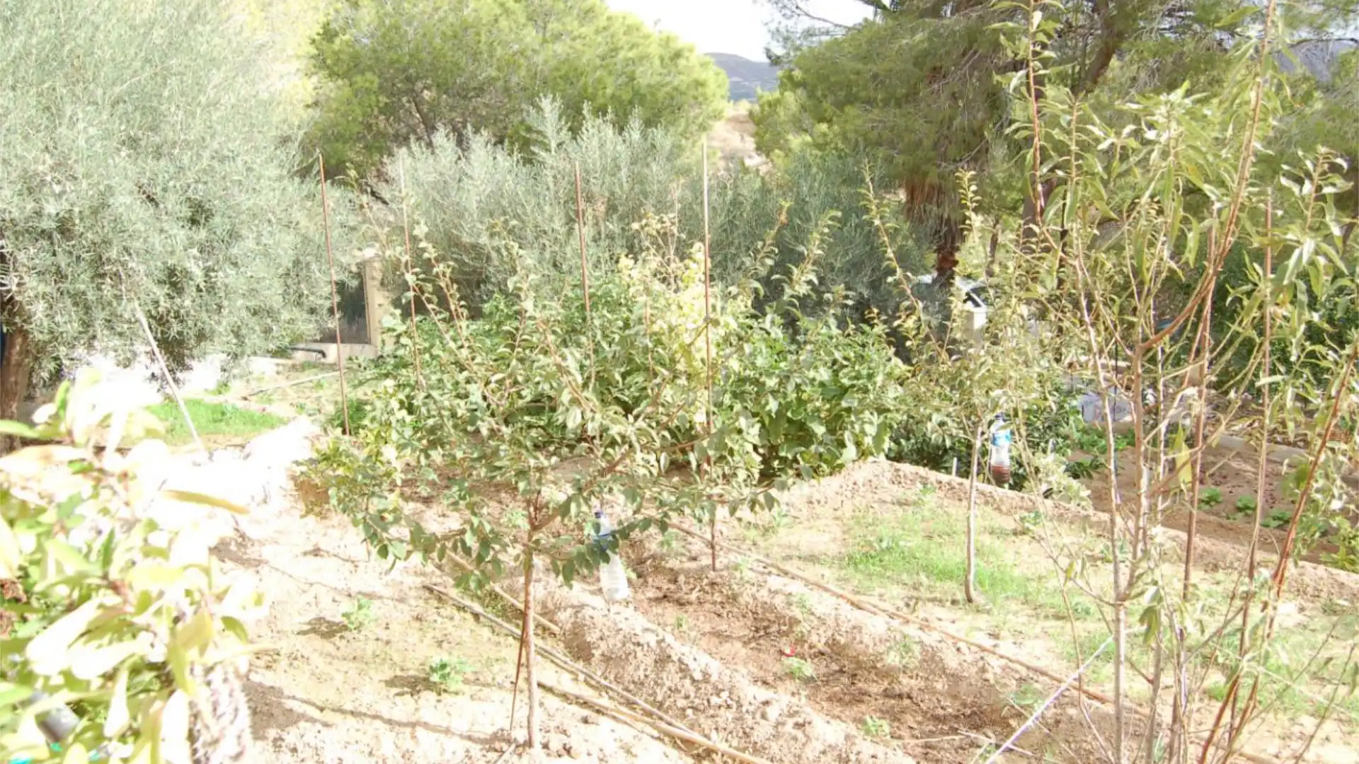 Chalet en  Urbanización la Pinada 37 - Foto 44